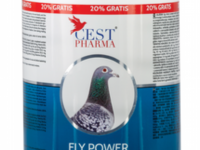 FLY POWER